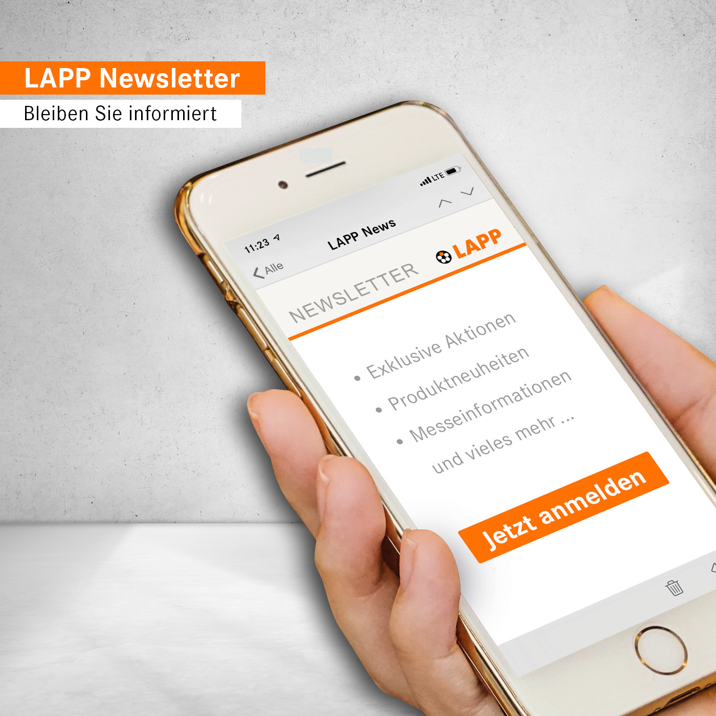 LAPP Newsletter