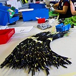 Customized harnessess and cable sets