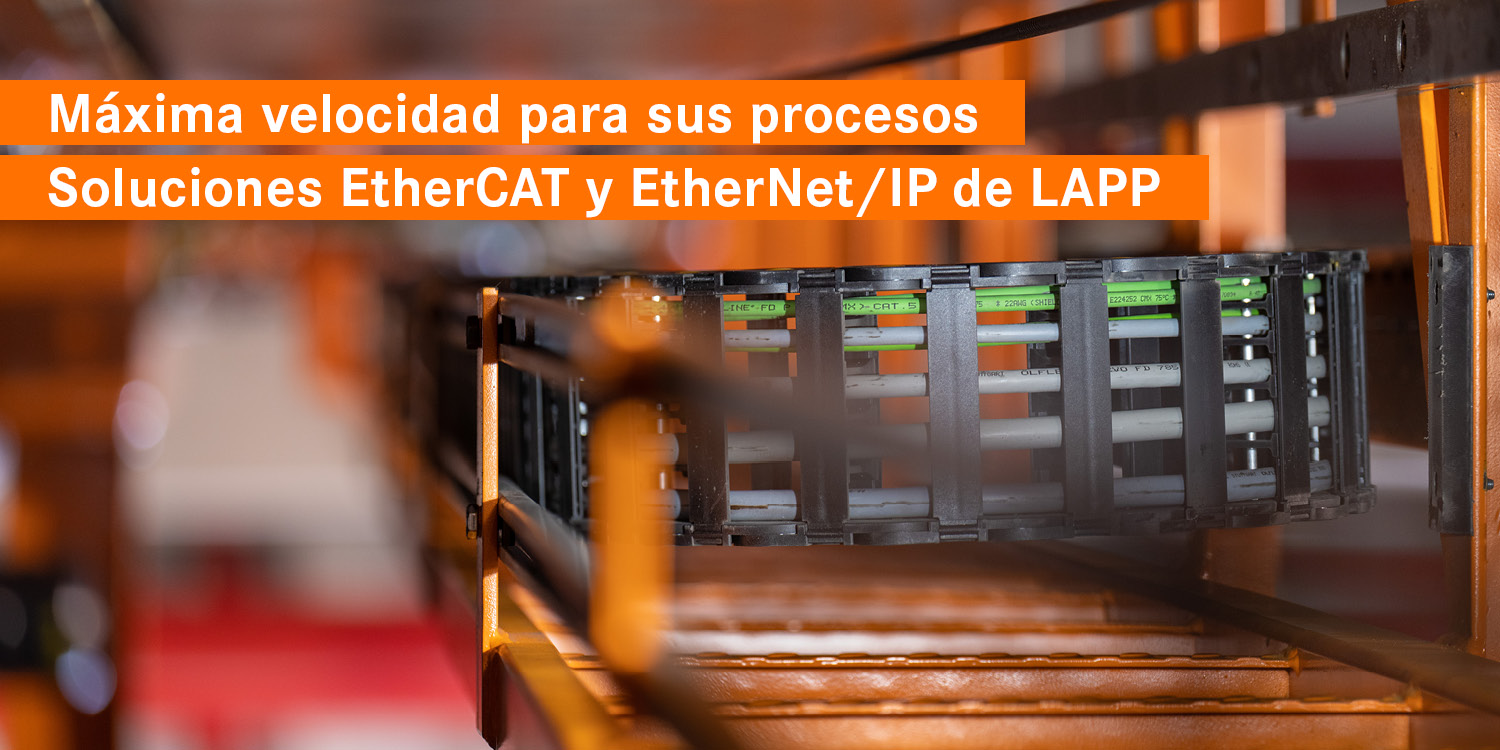 LAE493 1