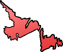 Newfoundland select medium Newfoundland select medium