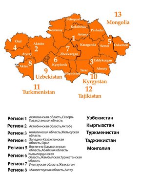 Региональные представители