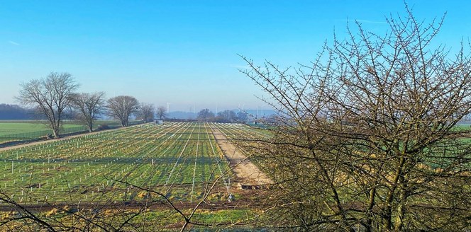 La photo montre la zone de la Merscher Höhe à Jülich avec une centrale photovoltaïque en construction pour la production d'hydrogène. La photo montre la zone de la Merscher Höhe à Jülich avec une centrale photovoltaïque en construction pour la production d'hydrogène.