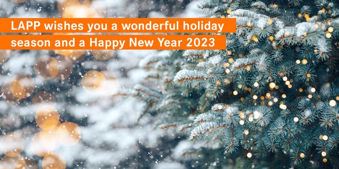 Slider Christmas-New-Year EN