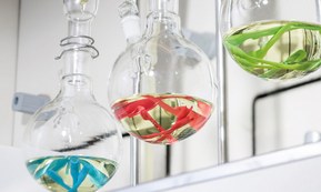 Egne laboratorier – Optimale testmetoder for optimale produkter
