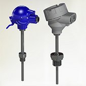 2 Threaded temperature sensor with neck pipe and thermowell