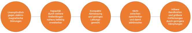 Vorteile LWL DE