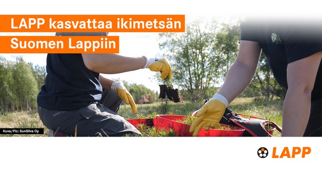 Lapp-ikimetsa-linkedin