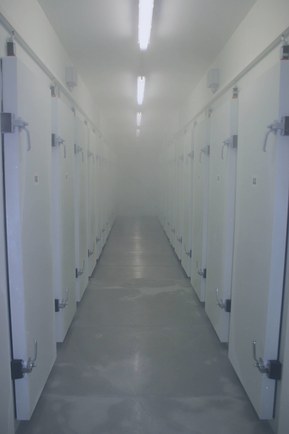 Стандартный контейнер длиной 12 метров вмещает холодильную камеру объемом 40 м3 с температурой -80°С
