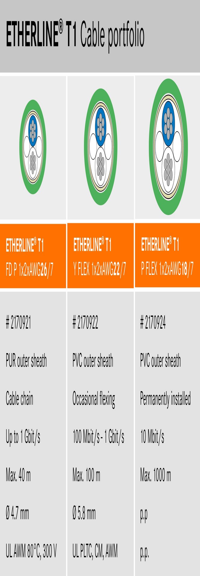 ETHERLINE T1 Portfolio