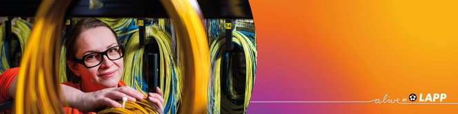 Harnessing-Solutions-Harnessed-Wire-and-Cable-Sets