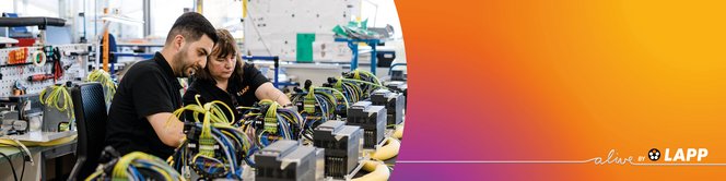 Harnessing-solutions-Industrial-Box-Build-Solutions