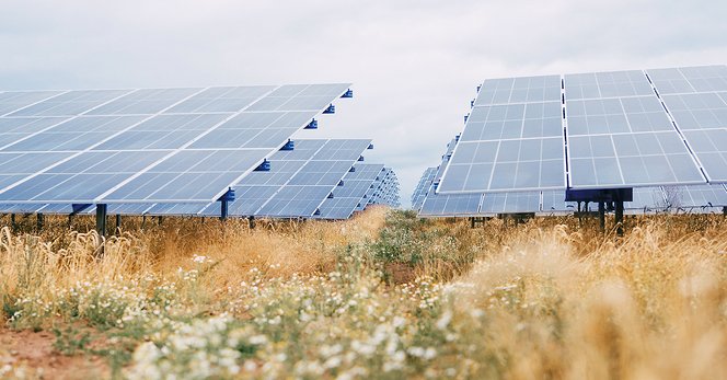 ”Allmänhetens solcellspark”: Elektricitet till 37 500 hushåll