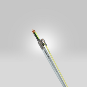 Nuovi prodotti Primavera 2025