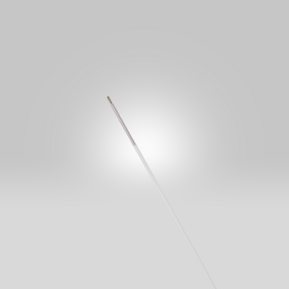 Nuovi prodotti Primavera 2025