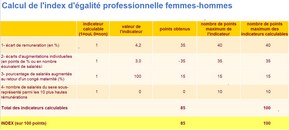 Index égalité professionnelle homme-femme