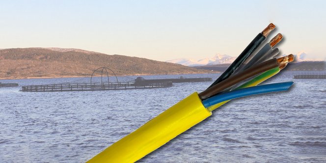 Finn ut mer om PURline S1BQ-F halogenfri, UV-bestandig og oljebestandig kabel med PUR-kappe, perfekt for akvakultur, havneområder, mobile applikasjoner og mer.