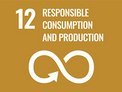 Sustainable consumption and production