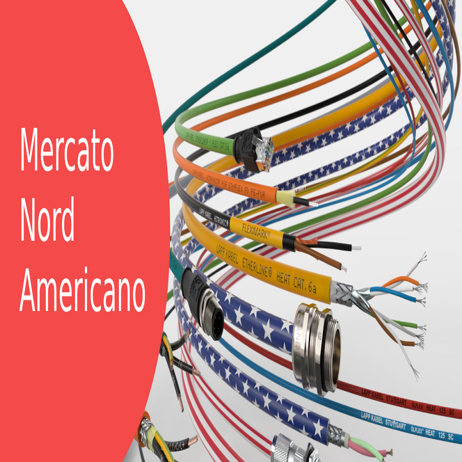 Mercato Nord Americano