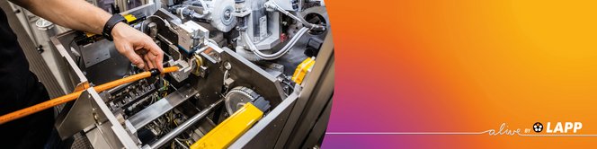 Harnessing-Solutions-Standard-Harnessing