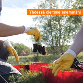 Environment yhdessae