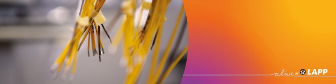 LAPP-Harnessing-Solutions