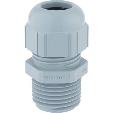 SKINTOP ST NPT 1'' RAL 7001 SGY