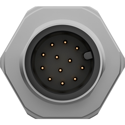 EPIC® SENSOR Chassidon M12